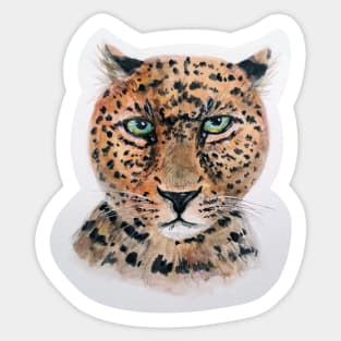 upset leopard Sticker